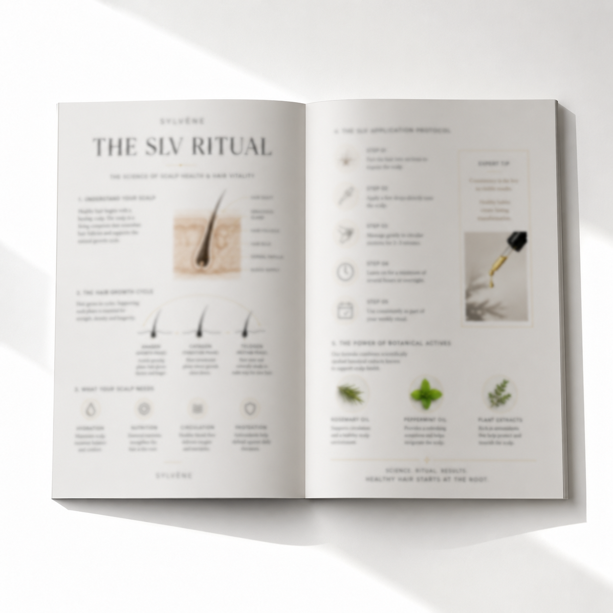 The Science of Scalp Health & Hair Vitality